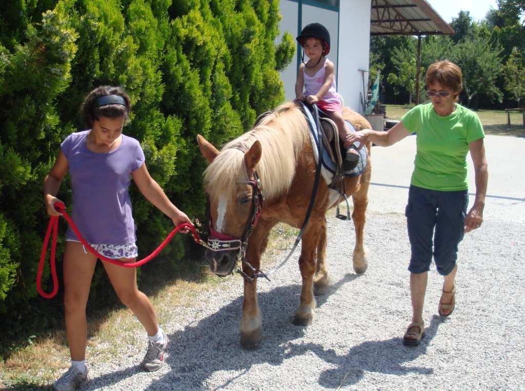 cavallo pony