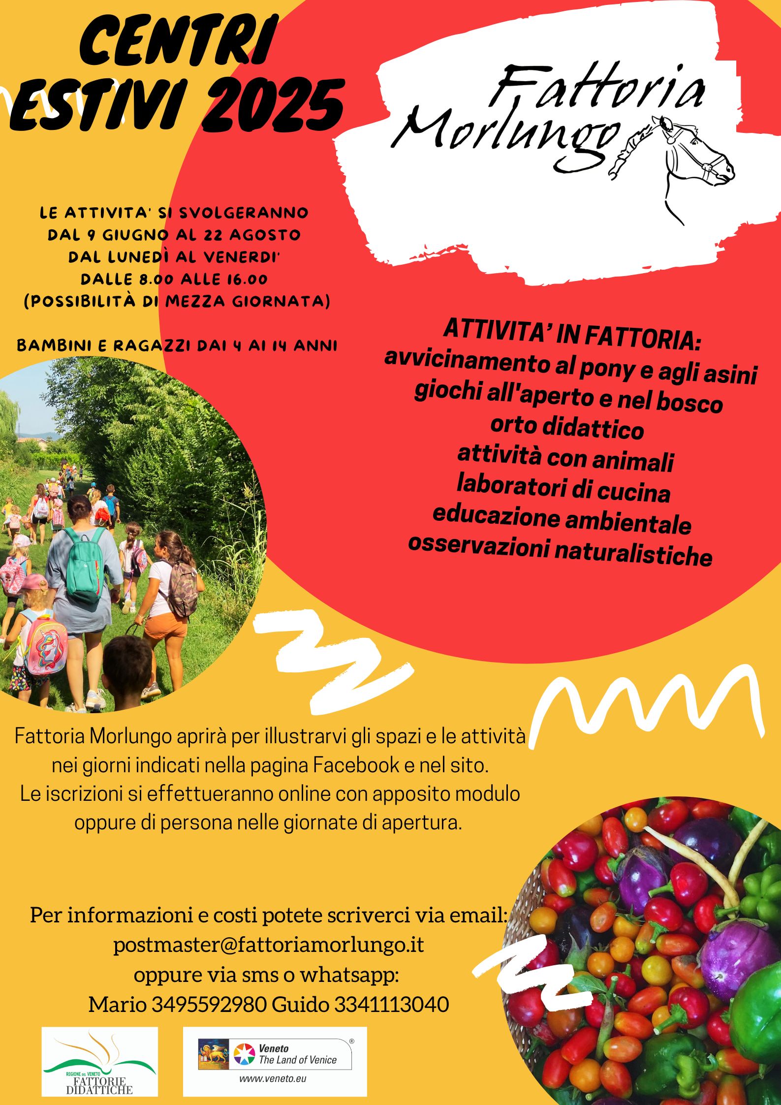 volantino centro estivo fattoria morlungo