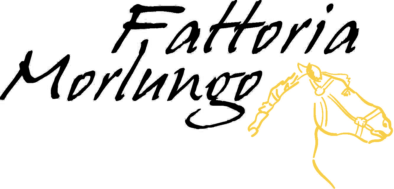 LOGO_FATTORIA_MORLUNGO_nerogiallo