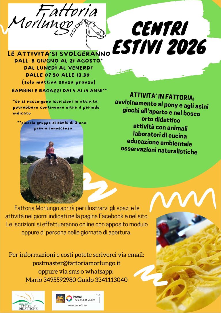 volantino centri estivi 2026